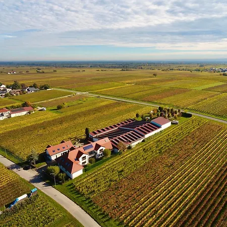 Weingut Braun & Soehne Edesheim