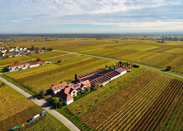 Weingut Braun & Soehne Edesheim